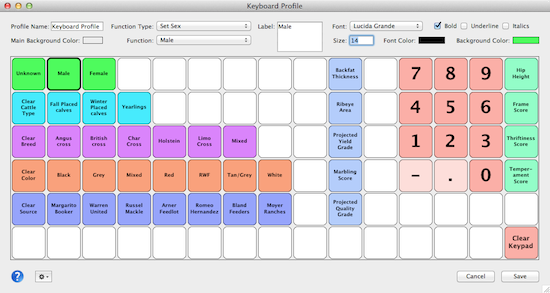 Electronic Keyboard Profile Creation