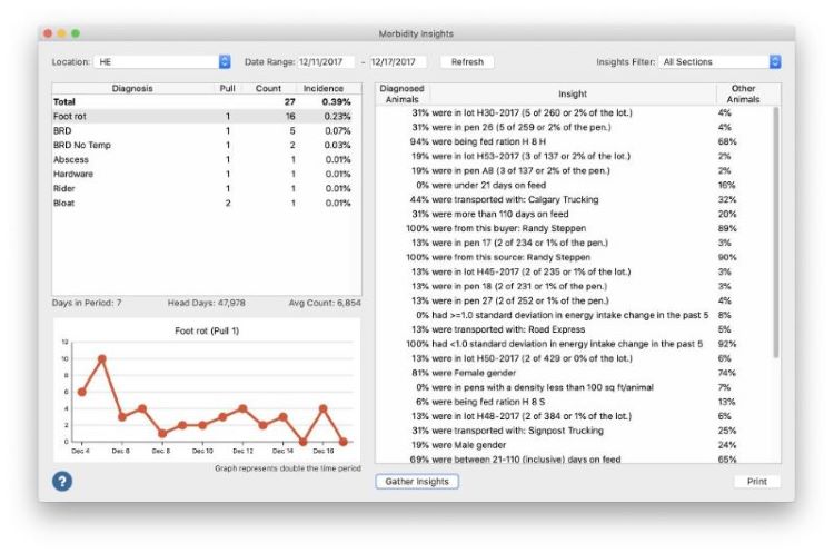 Morbidity Insights Window