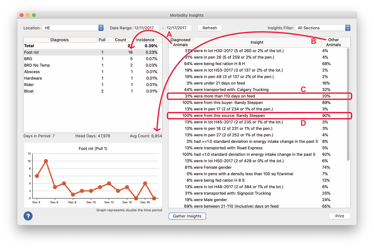 Morbidity Insights Window